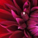 EZ부동산공인중개사사무소 이미지