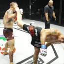 스트레스파이터 이미지