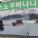 안산썰매장 이미지