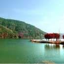 안동미래태권도장 이미지