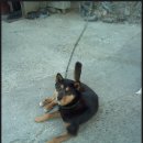 대화카센타 이미지