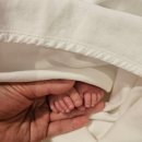 조형물1 | 양주 올리비에르 산후조리원 2주 눈물의 후기(뉴본 사진, 손발 조형물)