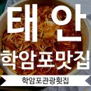 학암포관광횟집 | 학암포해수욕장 회도 칼국수도 실패없는 맛집