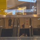 신촌진드르교차로 | 🍊제주도 여행 기록🍊