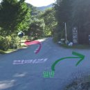 산음자연휴양림 | 양평 국립산음자연휴양림 반려견 객실 후기