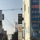 렙타일리아 방문 후기!