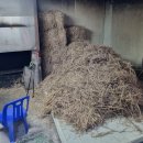 기장짚불곰장어 | 부산여행 기장종가집곰장어, 짚불+소금구이 반반 후기
