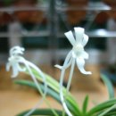 중광농장 이미지