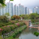 장자호수길 이미지