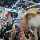 시니어가드닝체험키트 튤립키우기 2편, 엔젤재가노인복지센터 요양원 어르신수업(신활력서포터즈활동8)