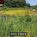 정자리농장 이미지