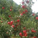 방자농장 이미지