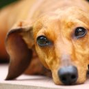 와이비 메디컬 이미지