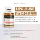 쁘띠아르