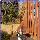 행복펜션 민박 이미지