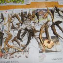 주진주유소 이미지