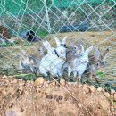 카페70도씨 이미지