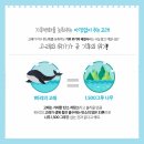 고래컴퍼니 이미지