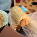 클래식기타 (B) | 평창 제12회 계촌 클래식 축제 2026 예약 숙소 콘서트 정보