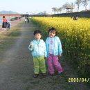 김호수 Daum카페