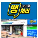 반땅