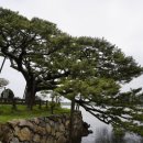 THE쉼(더쉼) 이미지