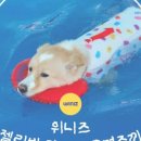 위니즈몰