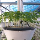 진군농장 이미지