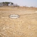 황해공인중개사사무소 이미지