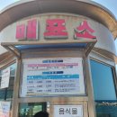 다양한 물고기를 볼 수 있는 울릉도 천부해중전망대