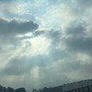 여주-0929 이미지