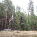 재화섬유 이미지