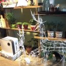 플레이트비(Plate B) 이미지