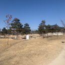 한중우호의숲 이미지