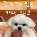 노노펫 | [체험후기] [경주] 펫파크가 있는 애견동반 &#39;카페 스니프&#39;