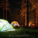 호미곶고래마을 | 호미곶 고래마을 카라반펜션 경상북도 캠핑 다녀왔는데 와.. 이렇게 좋을 줄이야