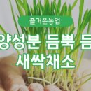 새싹마트 이미지