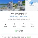 가덕 코이 이미지