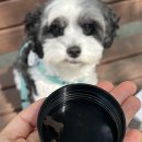 엠엔바이오 이미지