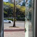 [강릉네일] 강릉교동네일 맛집으로 소문난 네일터치 방문후기!!