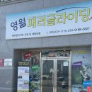 영월, 액티비티 체험 [영월패러글라이딩]