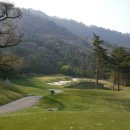 용평 버치힐골프클럽 이미지