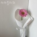 라라플라워 이미지