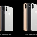 대박할인마트 이미지