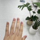 네일인유