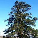 도사곡휴양림 이미지