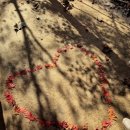 외금 | 조선왕릉숲길 개방, [동구릉]