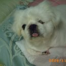 쑥고개길 이미지