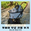 펫&캣 | 펫페어 무료 선물 왓도그캣 강아지유모차 후기