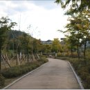 리아트파크청평원 이미지